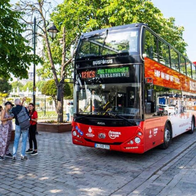 Istanbul Hop On Hop Off Bus24 Hours Ticket - Accessibility and Multilingual Audio Guides