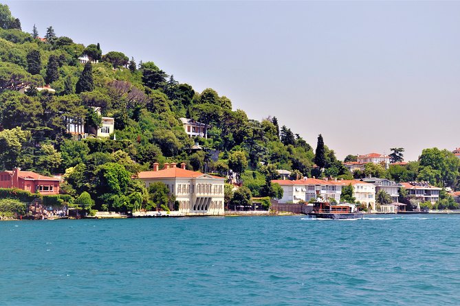 Istanbul Lunch Cruise on Bosphorus and Black Sea - Who Should Consider This Tour