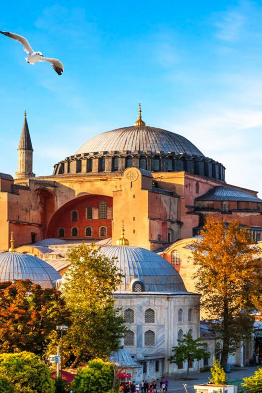 Istanbul: Old City Full-Day Tour -(Entry Fees Inculucing) - Practical Logistics and Tour Pacing