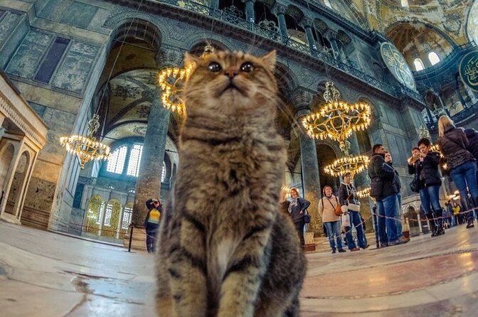 Istanbul Old City Tour - Practical Details and Logistics of the Tour