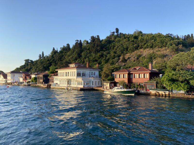 Istanbul: Old Town Highlights Tour & Bosphorus Cruise - Scenic Bosphorus Cruise and Waterway Highlights