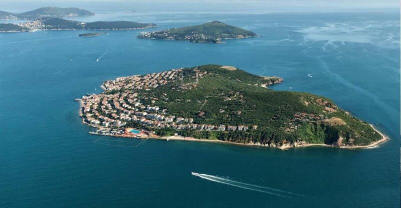 Istanbul Prince Island Cruise with Lunch & Free Time - Burgazada’s Beaches and Laid-Back Vibe