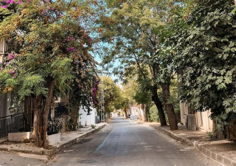 Istanbul: Prince islands Tour w/ Lunch and transfer options - Explore the Princes Islands by Comfortable Air-Conditioned Boat