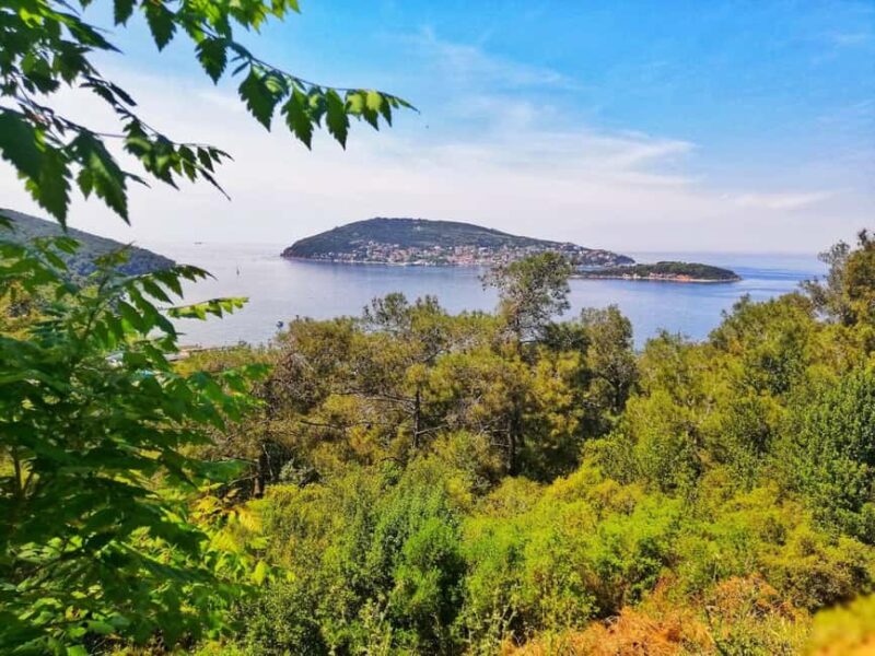 Istanbul: Prince islands Tour w/ Lunch and transfer options - Largest of the Islands: Büyükada’s Elegant Mansions and Seaside Sights