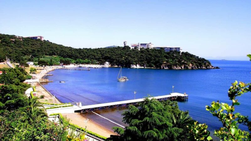 Istanbul: Prince islands Tour w/ Lunch and transfer options - Flexible Lunch Options and Dining Experiences