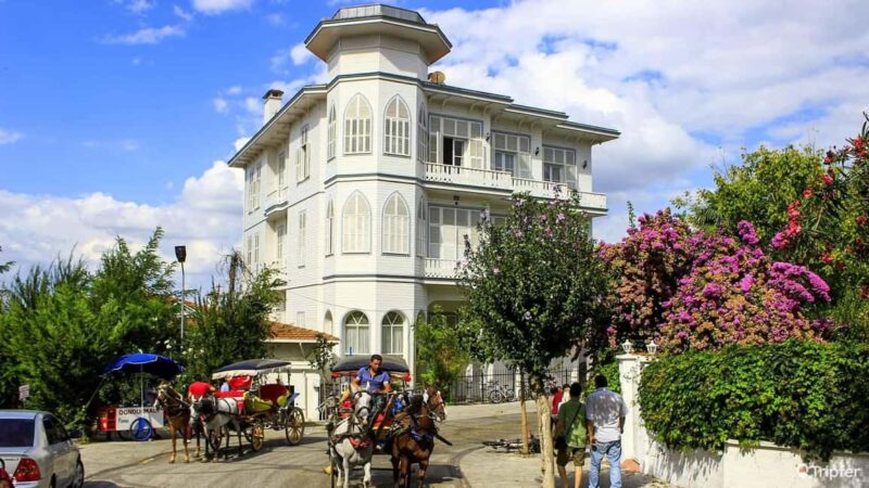 Istanbul: Prince islands Tour w/ Lunch and transfer options - Convenient Transfer Options for a Hassle-Free Day