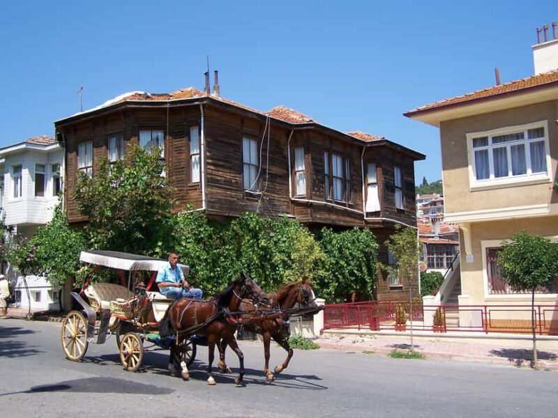 Istanbul: Prince islands Tour w/ Lunch and transfer options - Weather Considerations and Flexibility in Itinerary