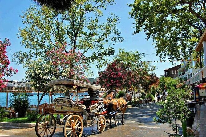 Istanbul Princes Island Tour with Lunch & Hotel Transfer - Comprehensive Tour of Istanbul’s Princes Islands at $50