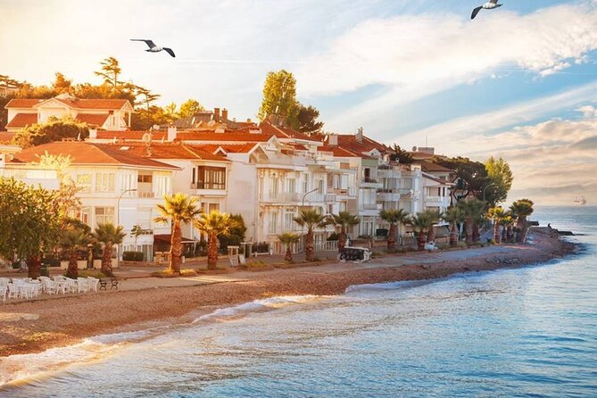 Istanbul Princes Island Tour with Lunch & Hotel Transfer - Exploring Buyukada: The Largest and Most Famous Island