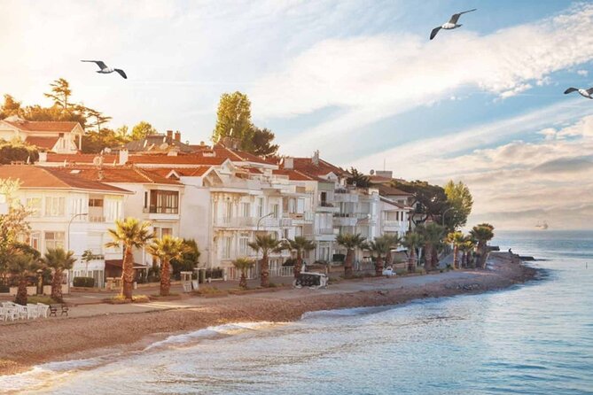 Istanbul Princes Islands Boat Trip with Lunch - Reviews and Common Feedback