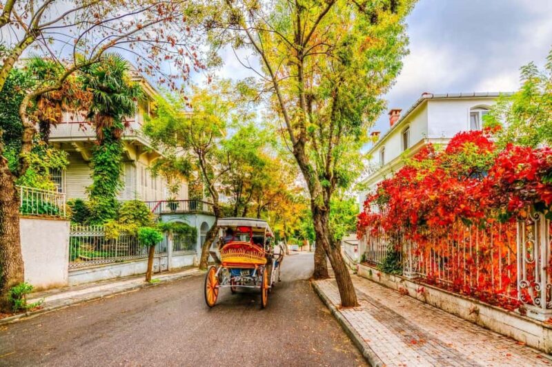 Istanbul: Princes' Islands Cruise with Lunch and Guide - Explore the Princes Islands from Istanbul on a Full-Day Cruise