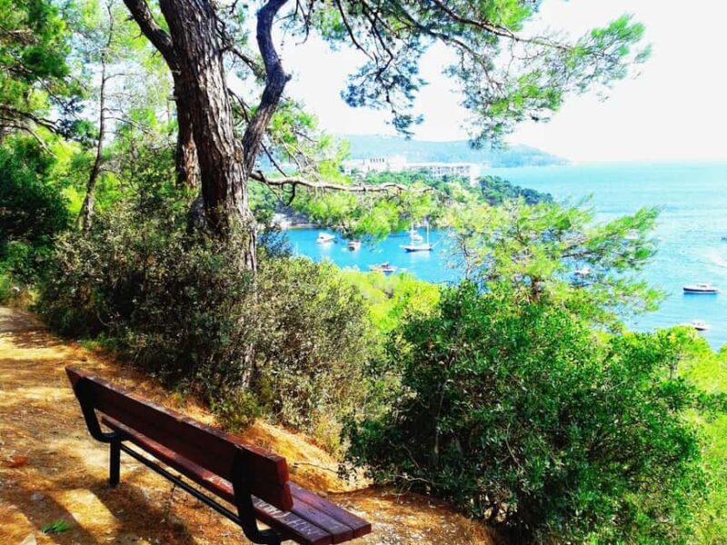Istanbul: Princes' Islands Cruise with Lunch and Guide - Discovering Büyükada’s Historic Charm
