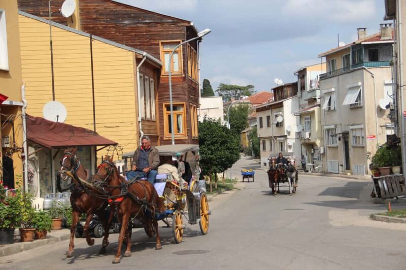 Istanbul: Princes' Islands Cruise with Lunch and Guide - Practical Considerations for Participants