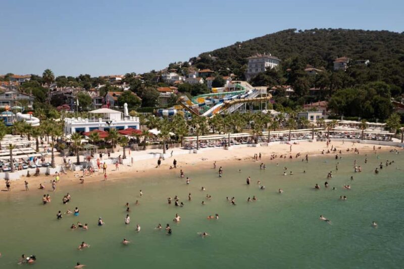 Istanbul: Princes' Islands Cruise with Lunch & Guide - Free Time for Swimming or Relaxing on Buyukada