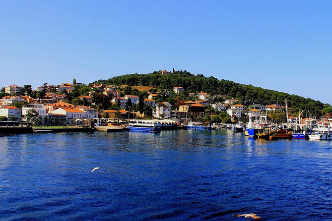 Istanbul: Princes Islands Tour with Heybeliada and Büyükada - Visiting Büyükada: The Largest and Most Famous Island