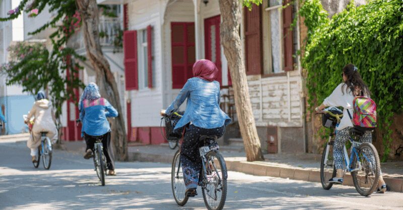 Istanbul: Princes Islands Tour with Heybeliada and Büyükada - Visiting Büyükada and Its Magnificent Mansions