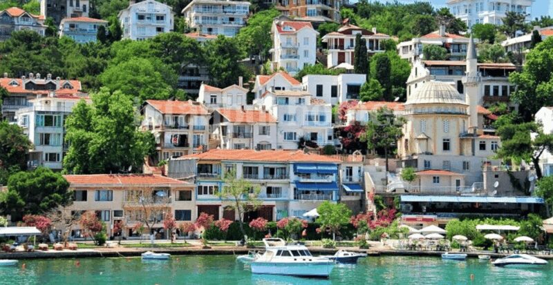 Istanbul: Princes Islands Tour with Heybeliada and Büyükada - Highly Praised Guides and Scenic Views