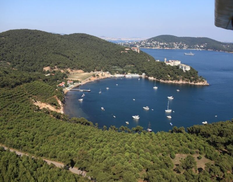 Istanbul: Princes' Islands Tour with Lunch and Transfers - Disembarking at Buyukada, the Largest of the Islands