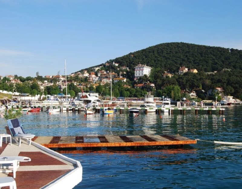 Istanbul: Princes' Islands Tour with Lunch and Transfers - Optional Electric Car Tour on Buyukada
