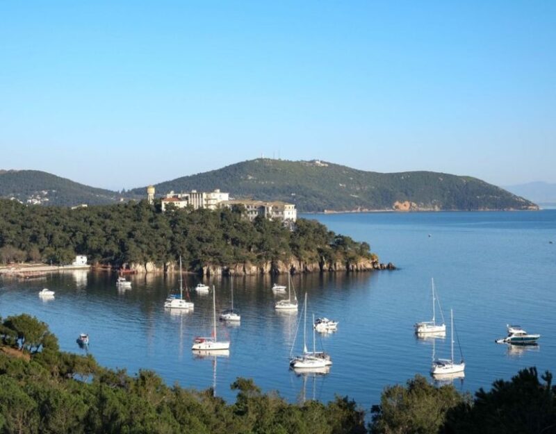 Istanbul: Princes' Islands Tour with Lunch and Transfers - Overall Value and Suitability