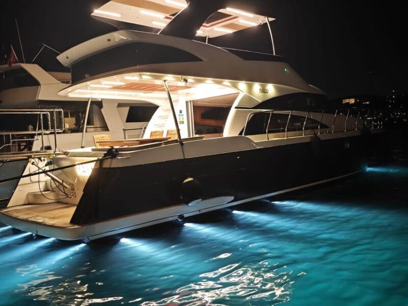 Istanbul: Private Bosphorus Yacht with Tour Guide and Snacks - Meeting Point and Accessibility