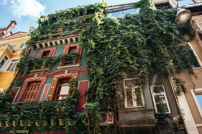 Istanbul: Private Guided Food Tour with 10 Tastings - Key Points