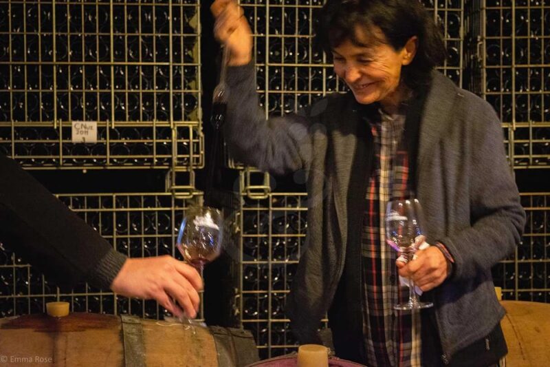 Istanbul: Private Wine Tasting Day Trip to Tekirdag - Key Points