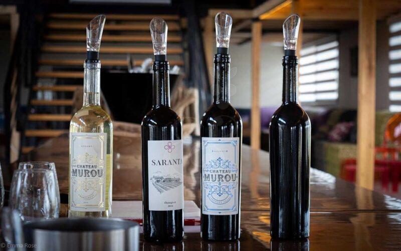 Istanbul: Private Wine Tasting Day Trip to Tekirdag - Visiting Local Vineyards in Tekirdag