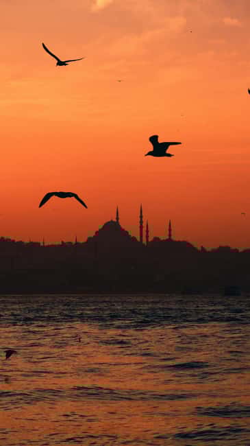 Istanbul: Private Yacht Sunset Cruise with Photos - Key Points