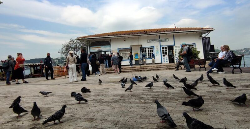 Istanbul Revealed: Historic Pathways and Bosphorus Serenity - The Days Itinerary and Stops