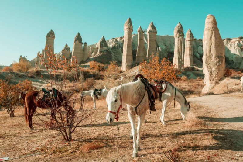 Istanbul to Cappadocia All Inclusive Private Day Tour - Visiting the Iconic Cappadocia Sites in a Private Tour