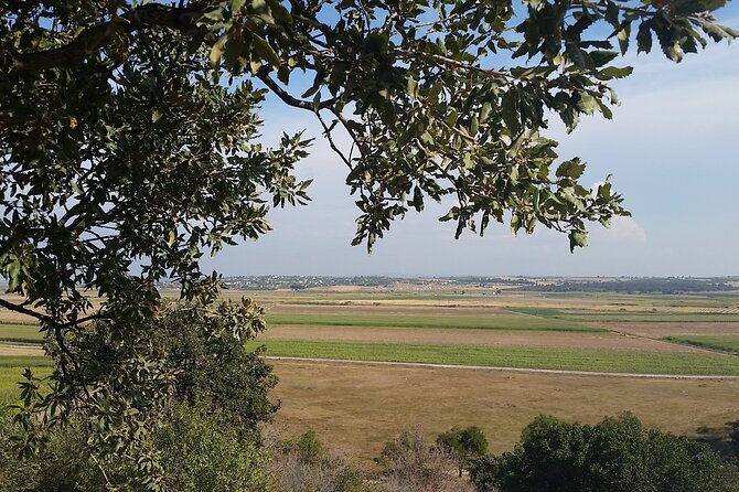 Istanbul to Truva Troy Guided Day Tour with Lunch and Transfers - Practical Tips for Attending the Troy Tour