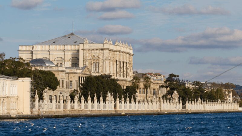 Istanbul: Topkapi Palace & Dolmabahce Palace Combo Ticket - Accessibility and Limitations of the Tour