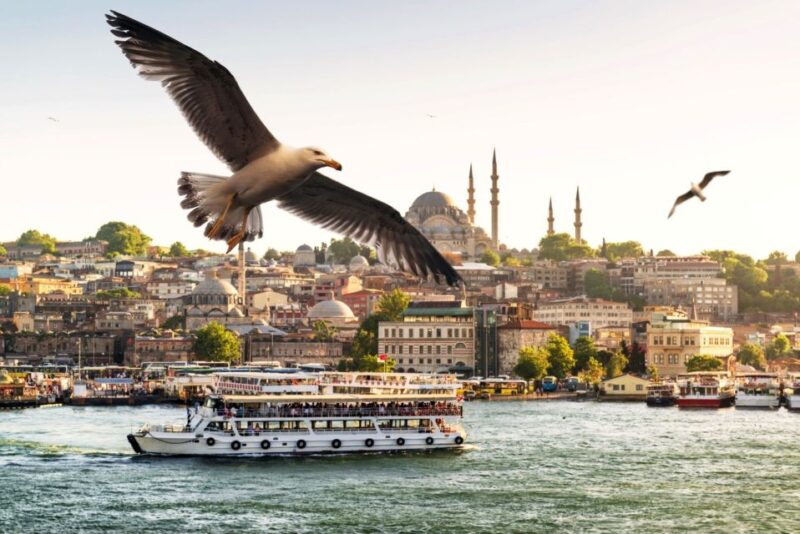 Istanbul: True Discovery Full-Day Tour and Cruise - Panoramic Views from Çamlca Hill and Yeditepe