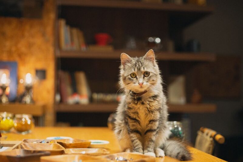 Istanbul: Turkish Mosaic Lamp Workshop with Drinks & Snacks - Create a Unique Turkish Mosaic Lamp in a Hands-On Workshop