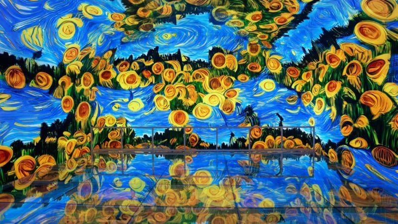 Istanbul: Van Gogh Digital Experience Museum Entry Ticket - Practical Details: Meeting Point and Ticketing