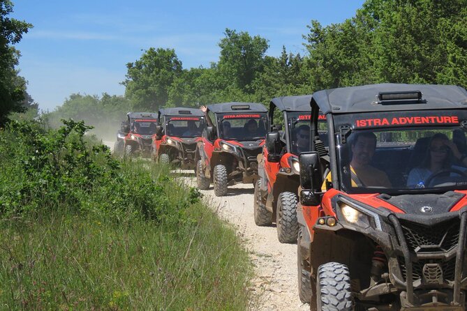 Istra Buggy Family Safari - Customer Experience and Reviews