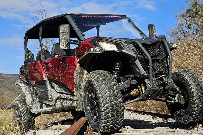 Istra Buggy Family Safari - Summary of the Tours Highlights