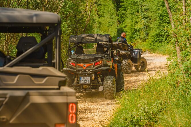 Istra Buggy Tour with a Local Guide - Passing Through Peroj and Fazana on Return
