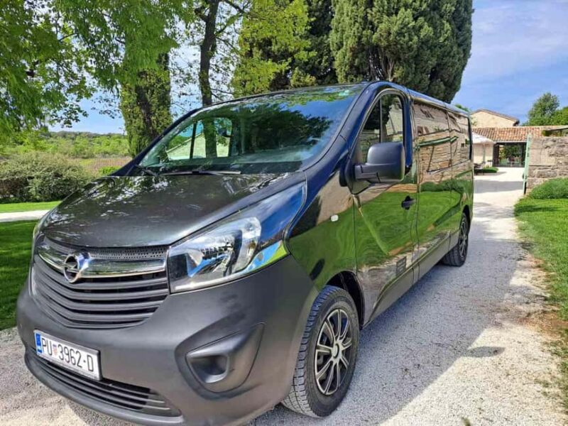 Istra tour: Pore - Gronjan - Motovun, with truffle tasting - Logistics and Booking Flexibility