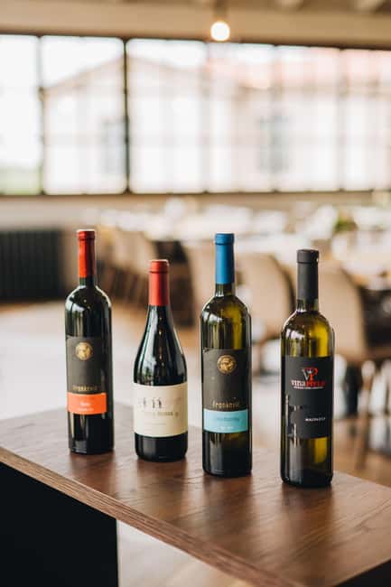 Istria County: San Servolo Wine Tasting Experience - Authentic Istrian Wine Tasting with Local Pairings