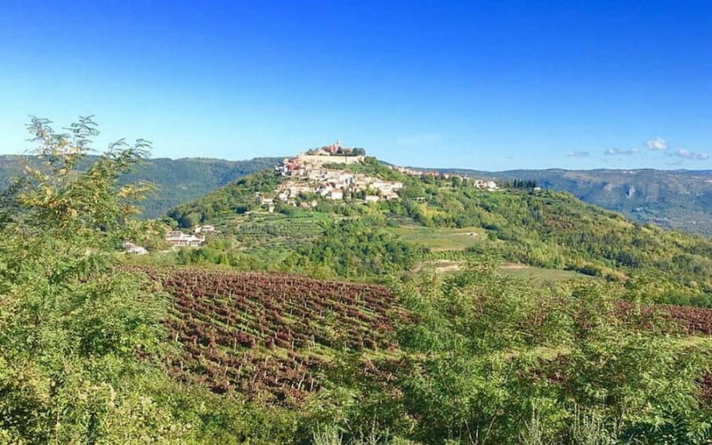 Istria: Guided Tour of Inner Istria with Food Tasting - Practical Aspects and Booking Flexibility