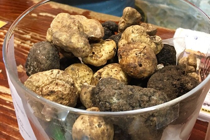 Istria Private Day Trip - Convenient Transportation and Meeting Arrangements