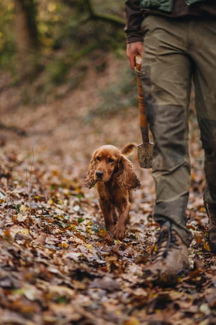Istria: Truffle Hunting, Tasting, and Heritage Private Tour - Visiting Hum, the Smallest Town in the World