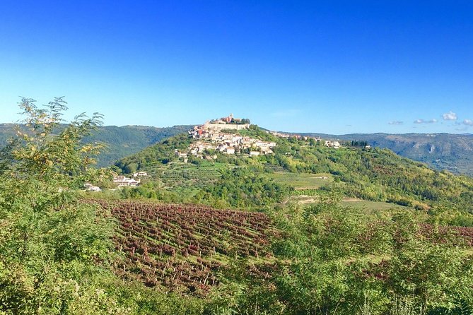 Istrian hill top cities tour with truffle and olive oil tasting - Tasting Authentic Istrian Specialties