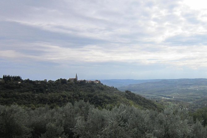 Istrian hill top cities tour with truffle and olive oil tasting - Logistics, Cancellation, and Additional Info