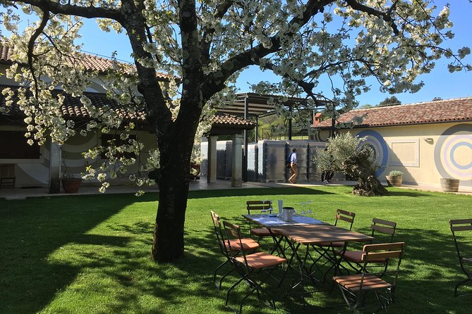 Istrian tapestry - gourmet tour combining wine, truffles and olive oil - An Authentic Istrian Foodie Adventure for Connoisseurs