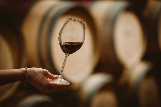 Italian Cooking Class and Wine Tasting in Tuscany - Wine, Olive Oil, and Vinegar Tastings at Tenuta Torciano