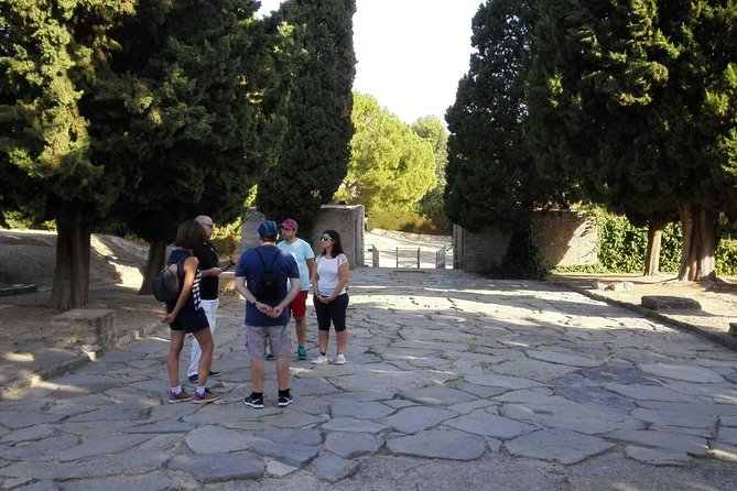 Italica 2-Hour Private Guided Tour - Enhancing the Experience with Knowledgeable Guides