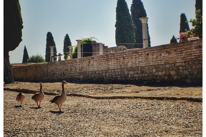 Italica 2-Hour Private Guided Tour - Final Thoughts on the Italica Private Guided Tour